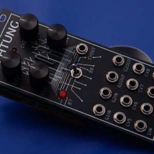 Rakish shot of 10HP Lichtung module.